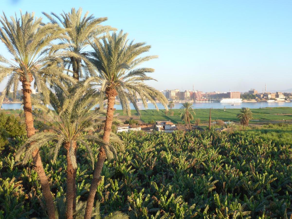 Dream Island Hotel Luxor Eksteriør bilde